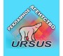 Рекламное агентство "URSUS"